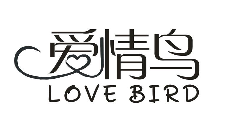 爱情鸟  LOVE BIRD