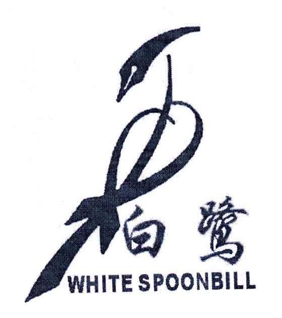 白鹭;WHITE SPOONBILL