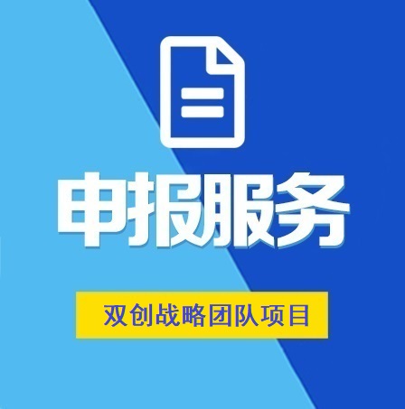 湖北省双创战略团队项目申报