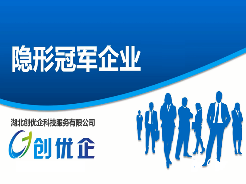 湖北省支柱产业细分领域隐形冠军企业申报-政策解读