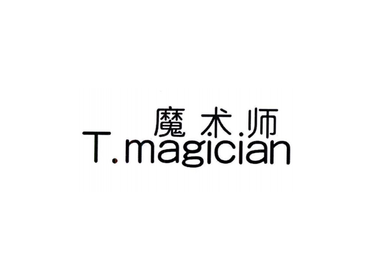 魔术师 T.MAGICIAN