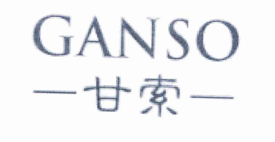甘索 GANSO